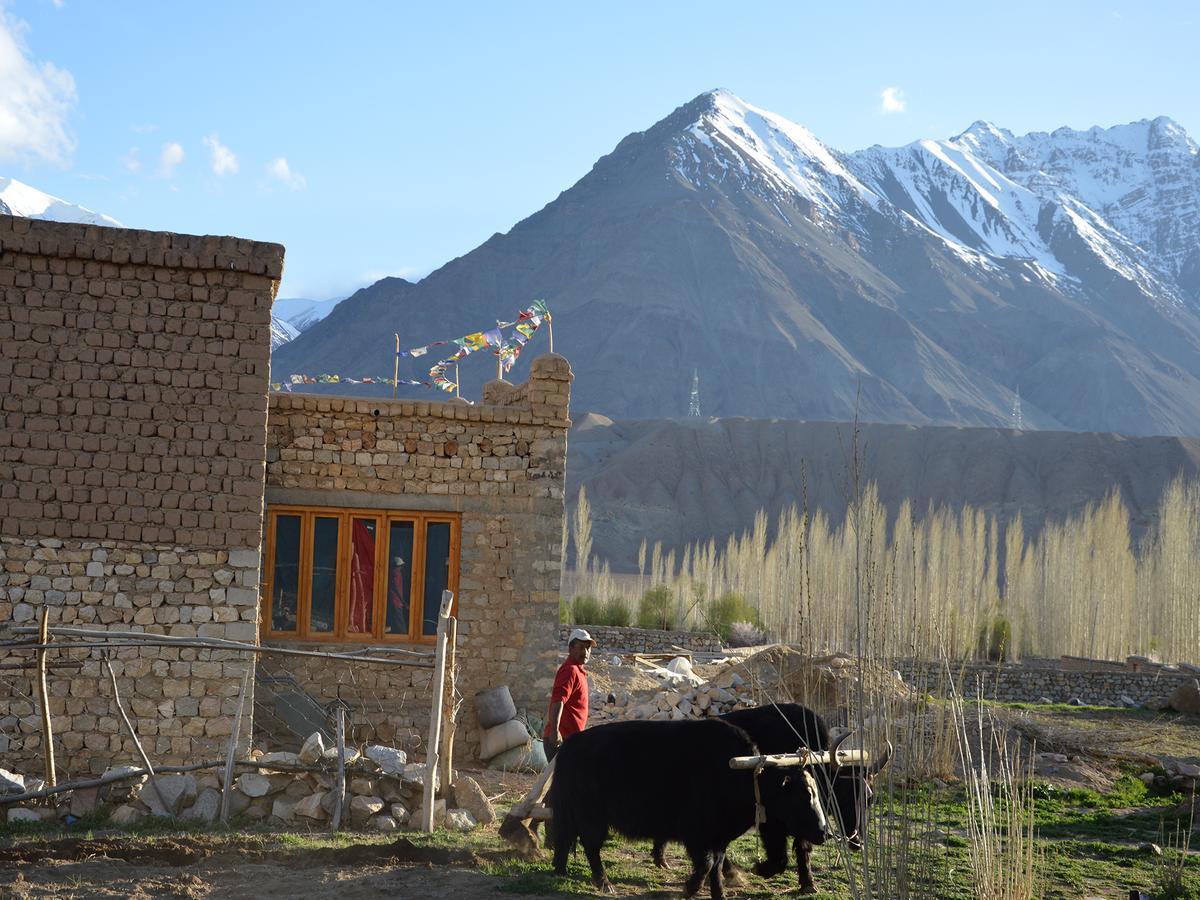 Hotel Nimmu House Ladakh Nimu Exterior foto